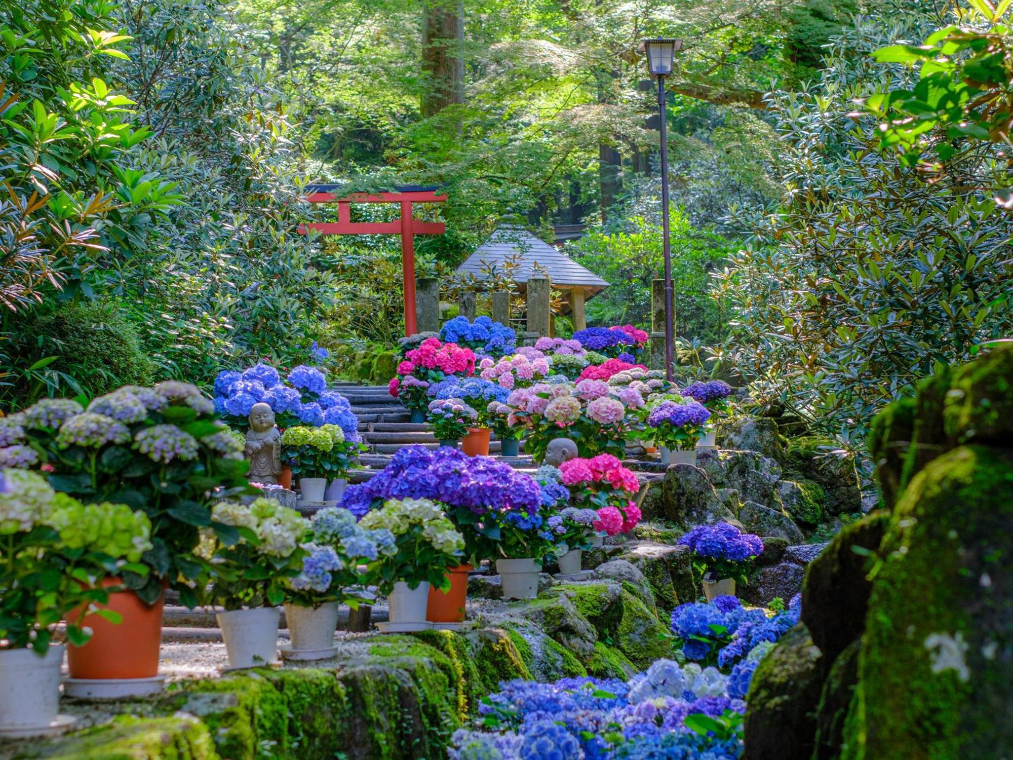 Grand Mercure Nara Kashihara Kashihara  Zewnętrze zdjęcie