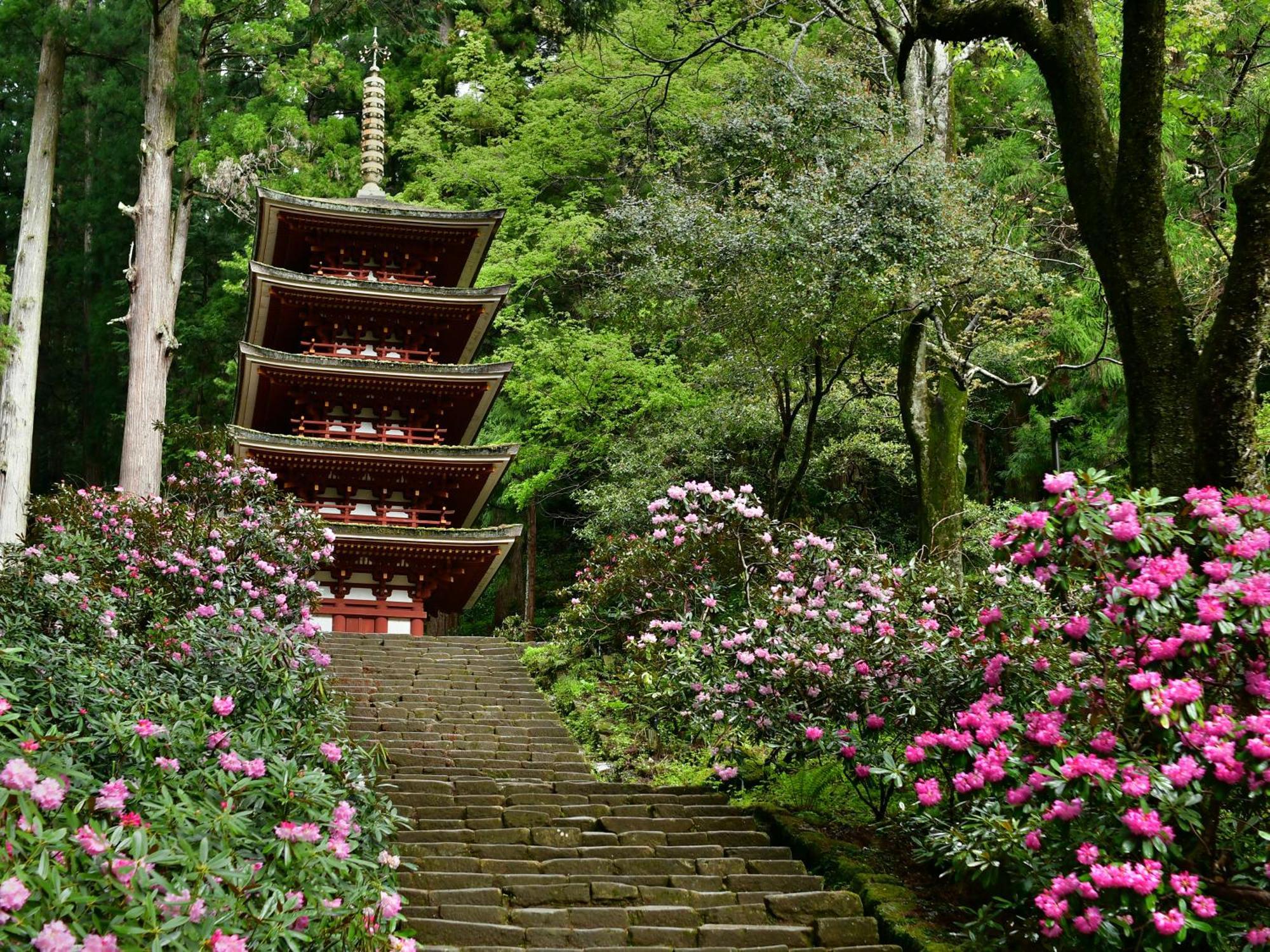Grand Mercure Nara Kashihara Kashihara  Zewnętrze zdjęcie