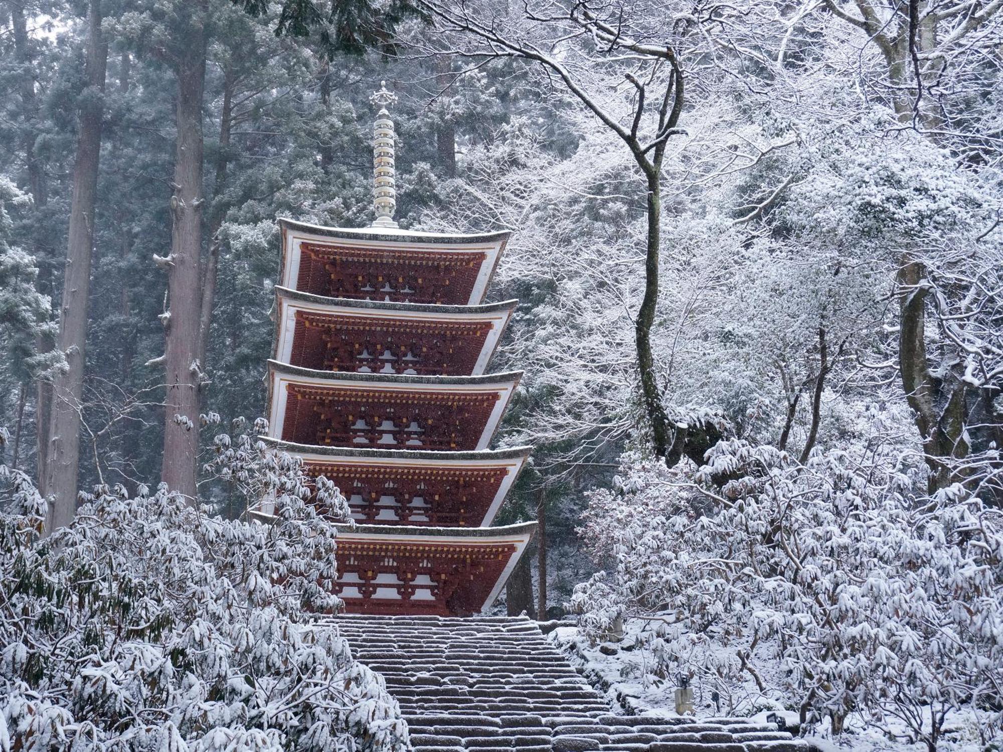 Grand Mercure Nara Kashihara Kashihara  Zewnętrze zdjęcie